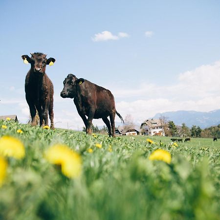 Alpin Farm Birke - Oberweidacherhof 克拉博 外观 照片