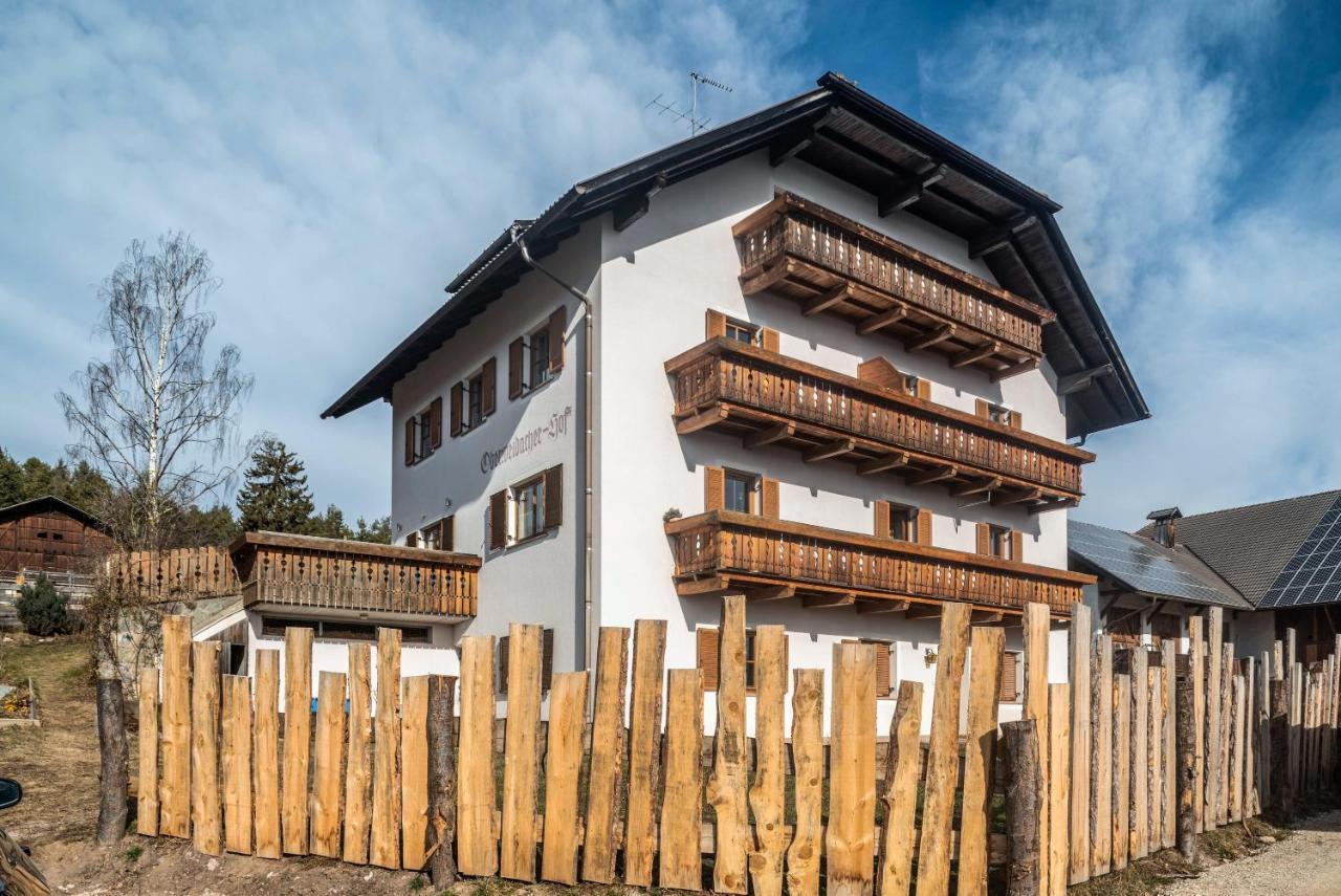 Alpin Farm Birke - Oberweidacherhof 克拉博 外观 照片