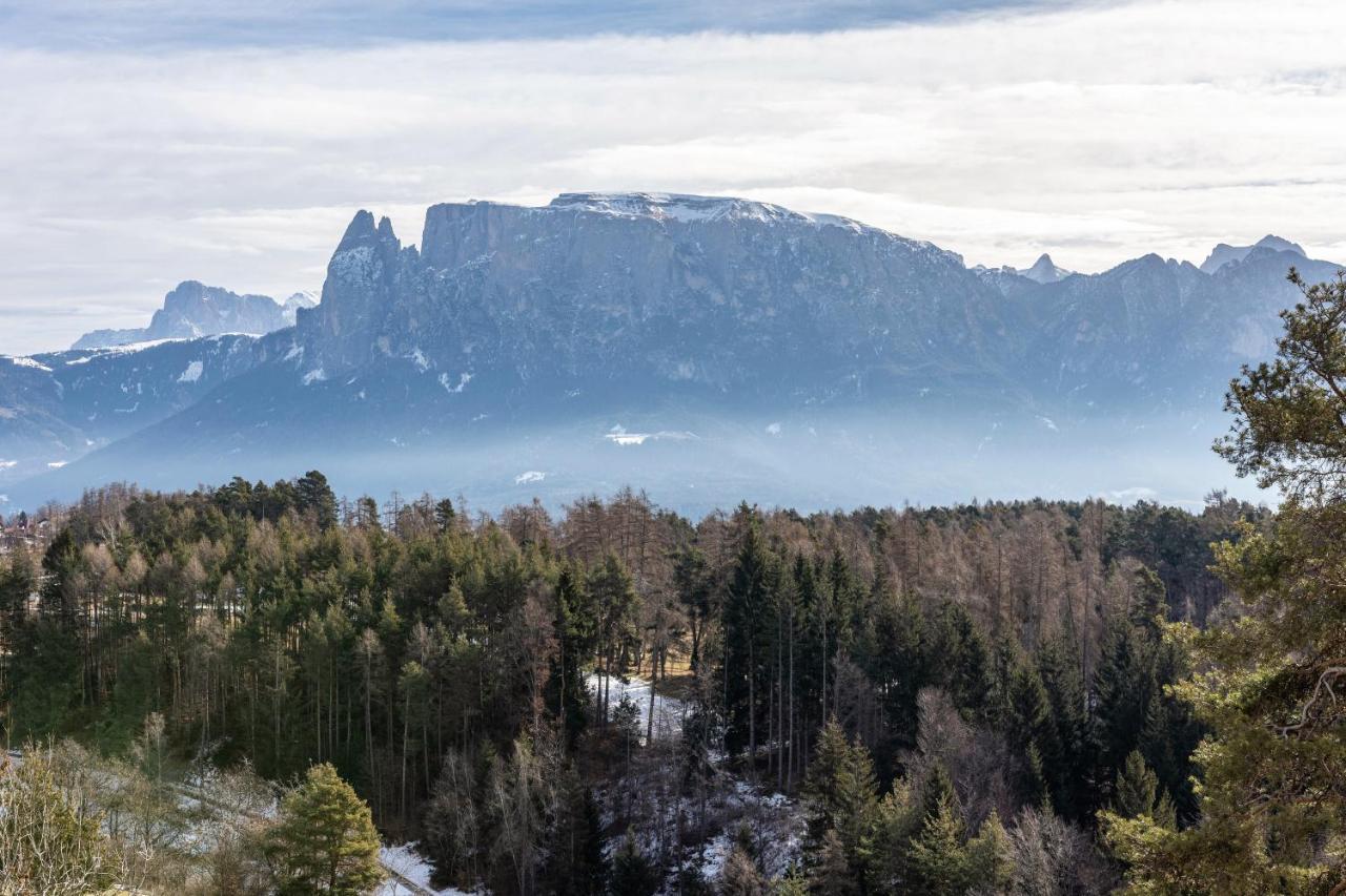 Alpin Farm Birke - Oberweidacherhof 克拉博 外观 照片
